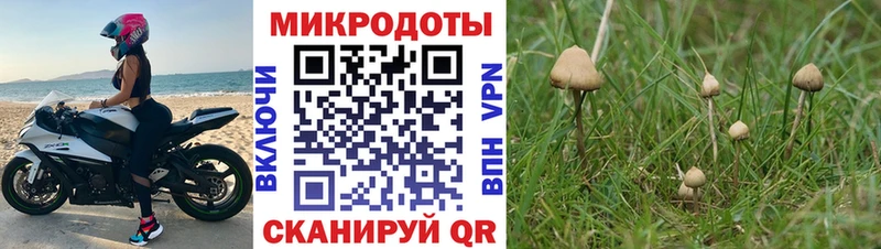 закладка Морозовск Галлюциногенные грибы Magic Shrooms